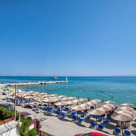 Kassiopea By The Sea 1 페프코초리